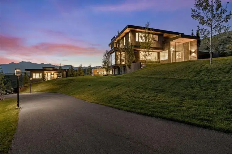 Panda Ranch image 3