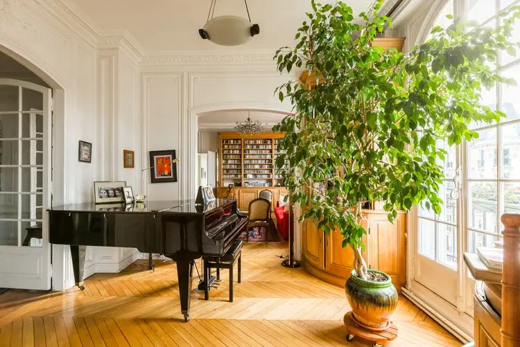 Haussmann Beauty in the 6th image 2