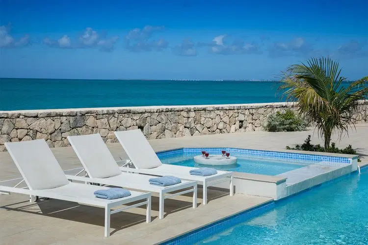 Papaya Point image 3