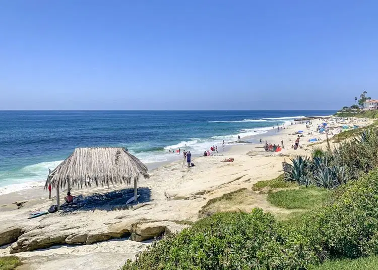 La Jolla Gem image 3