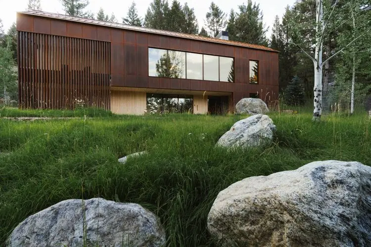 CAJU image 2
