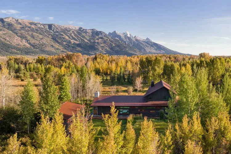 Wilderness Meadow image 2
