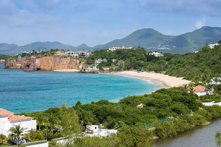 Blue Cove image 5