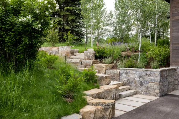 Aspen Vista image 2